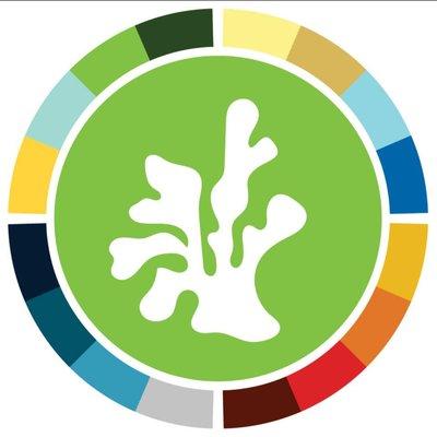 Anntoine Marketing Design