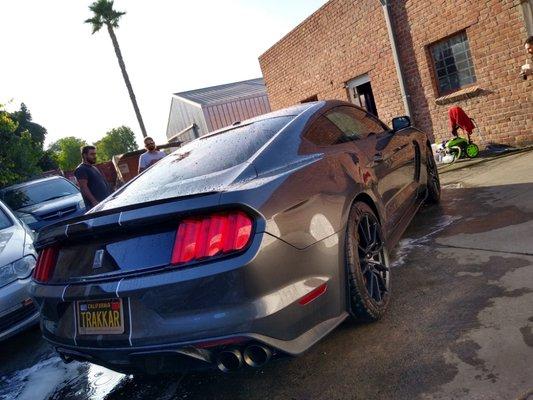 5% rear half
2019 Shelby