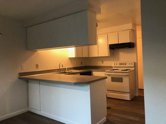 Sotelo Painting & Remodeling