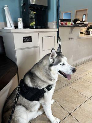 Pinellas Animal Hospital