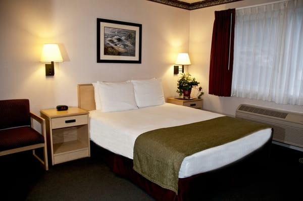 Spacious One Queen Room