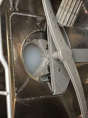 Paradise Plumbing Pros