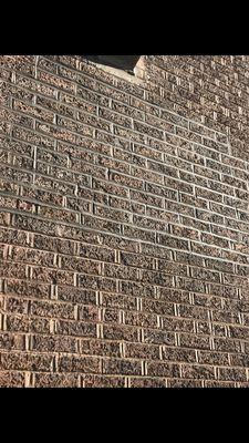 Chicago Roofing & Tuckpointing Guru