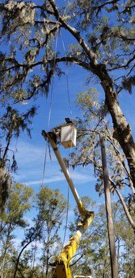 McCroan's Land & Tree Service