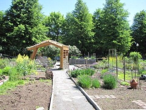 Worcester Street Community Garden