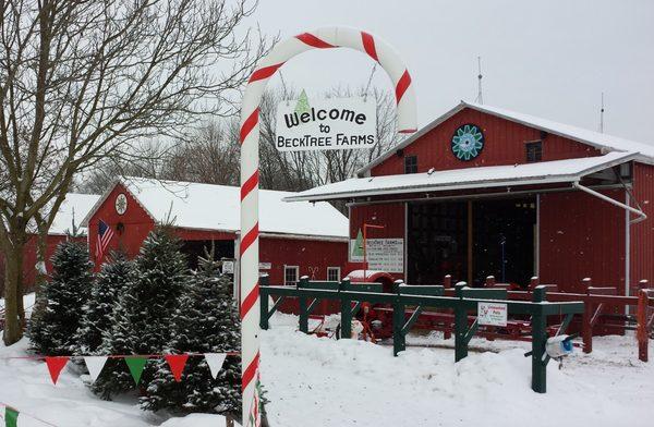 Beck Tree Farms