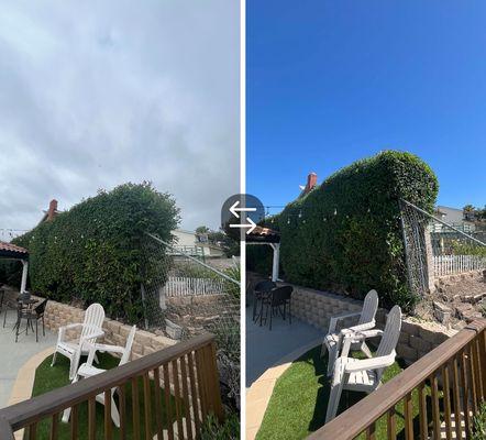 Zeke’s Gardening Services