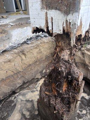 Replacement of rotting pilings
