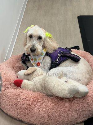 Ship Happens Print Shop