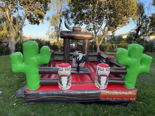 Insanity Mechanical Bulls