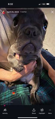 Carpinteria Community Pool