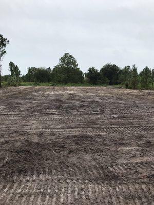 Southern Landscaping