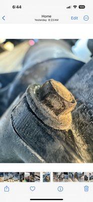 Phil Long Dealerships