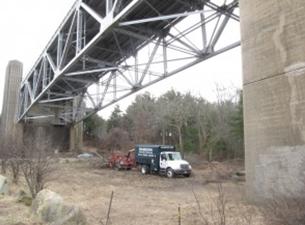 Hamilton Tree and Landscape