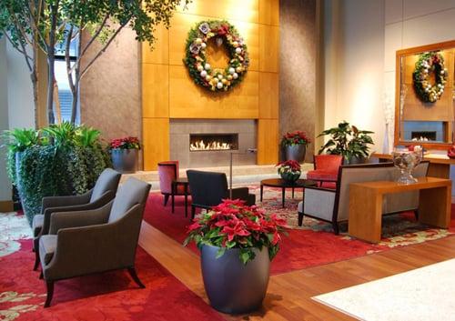 holiday design and holiday plant makeovers