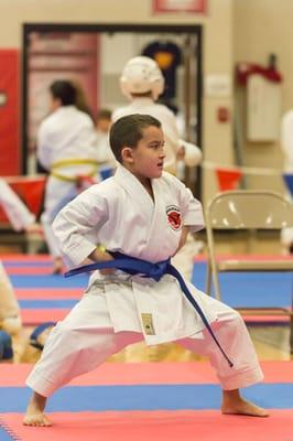 Shodan Martial Arts Academy