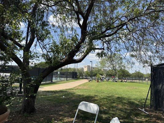 Arlington Tennis Center