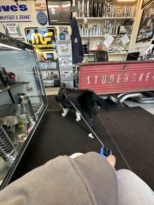 Steve's Westside Muffler & Brake Shop