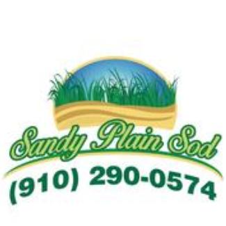 Sandy Plain Sod