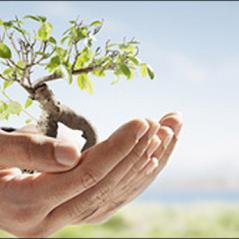 Advantage Enviromental Consultants