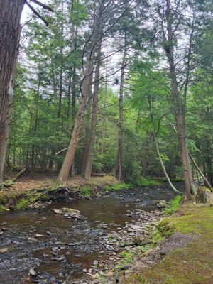 Moyers Grove Campground
