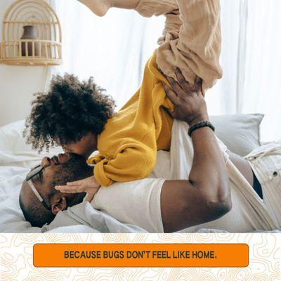 Let Forterra help you make your home pest-free.