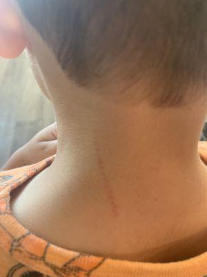 Sharkey's Cuts for Kids