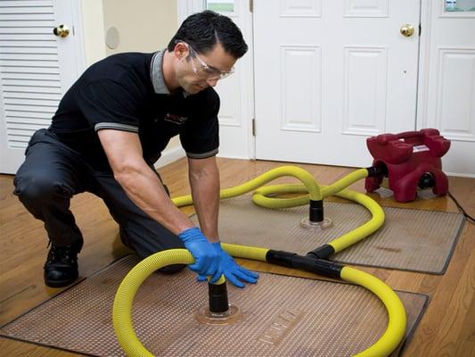 Carpet Cleaning Service