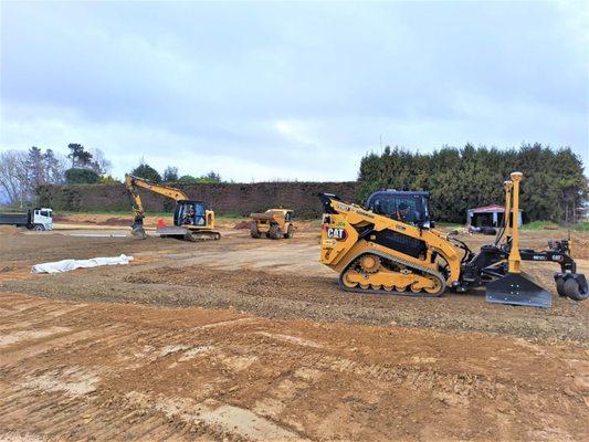 Synergeigh Consulting