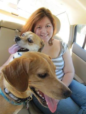 The Chipper Pet Sitter, LLC