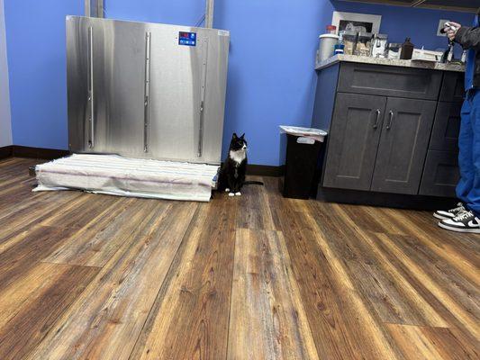 Islandia Animal Hospital