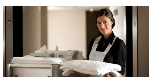 Maid Services in Lutz and Tampa Florida