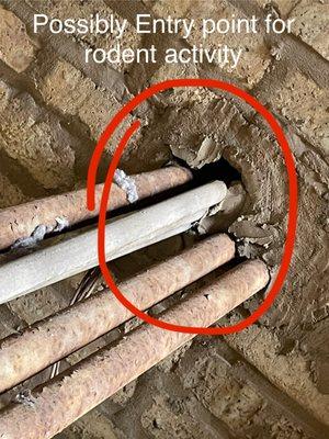 GetRid Pest Solutions