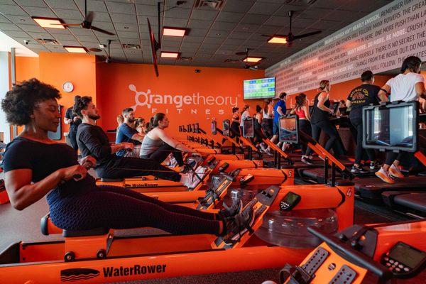 Orangetheory Fitness Babylon