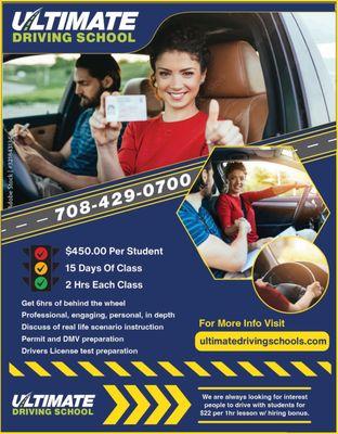 Ultimate Driving School