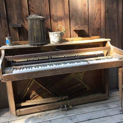 Piano Lessons with Izabela