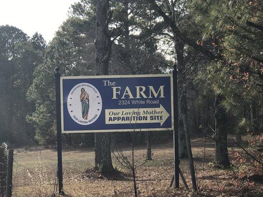 The Farm: The Apparition Of Our Lady