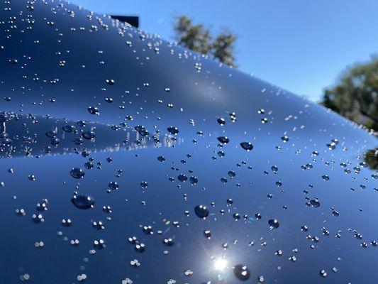 Brothers of the Trade