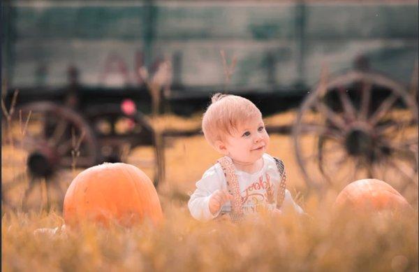 Chris Ray Photography