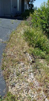 AB Gardening Services, Inc