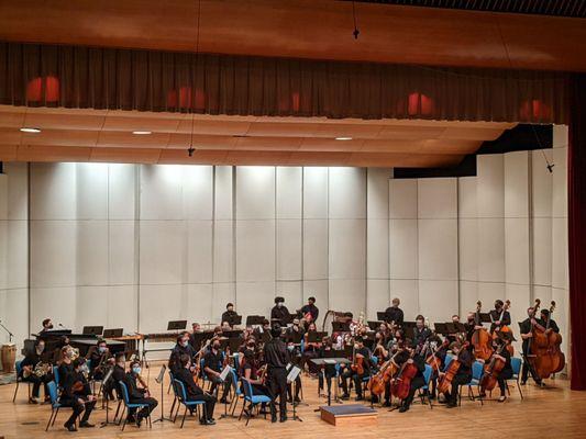 Philharmonic Orchestra