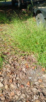 Ace & Axle Landscaping