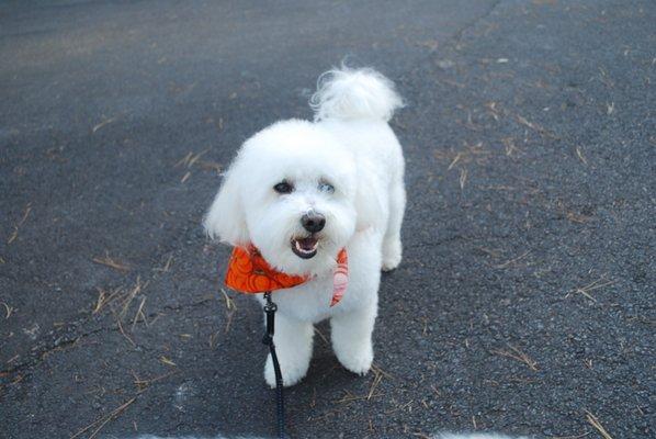 Lucky Paws Pet Grooming