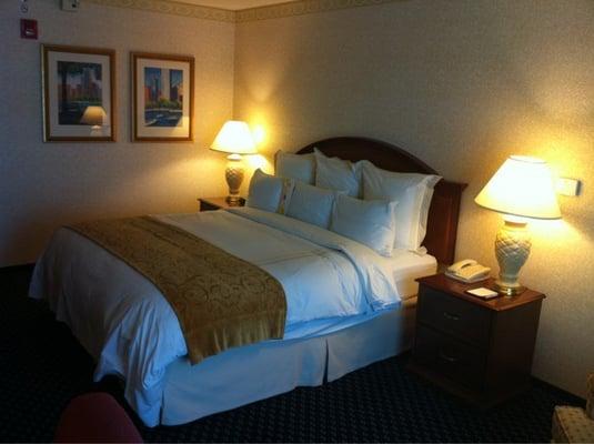 Chicago Marriott Southwest at Burr Ridge