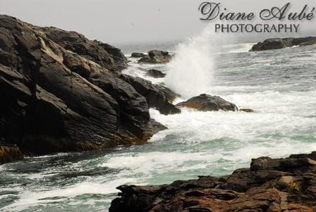 Diane Aube Photography