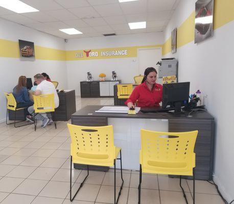 Del Toro Insurance