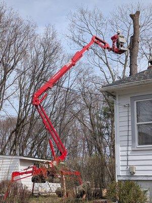 Mike's Tree Service