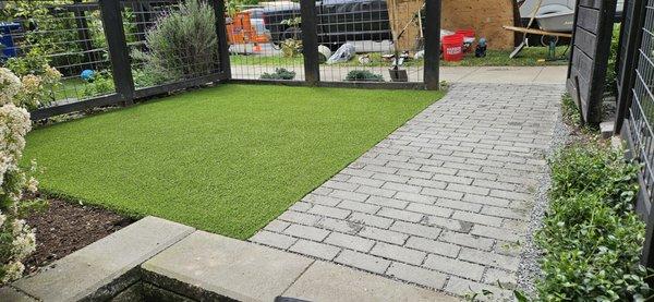 Pet smart turf plus and paver walkway refresh