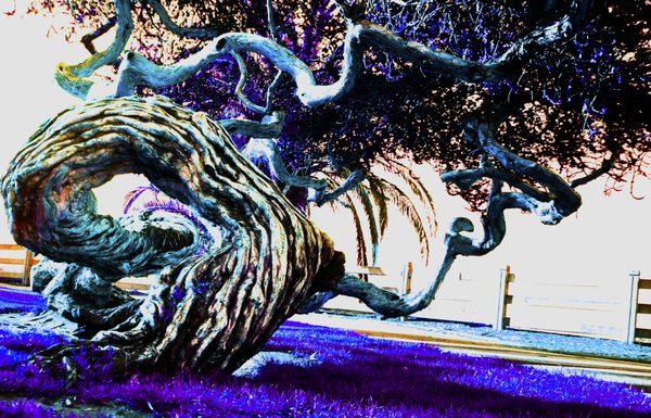 Darth Chelios' Art and Photography