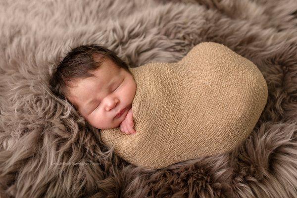 Love Life Family Photography